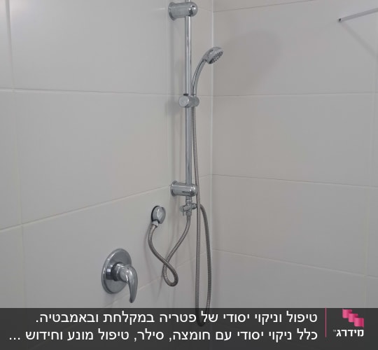 מקלחת עם ראש מקלחת וכפתור מים